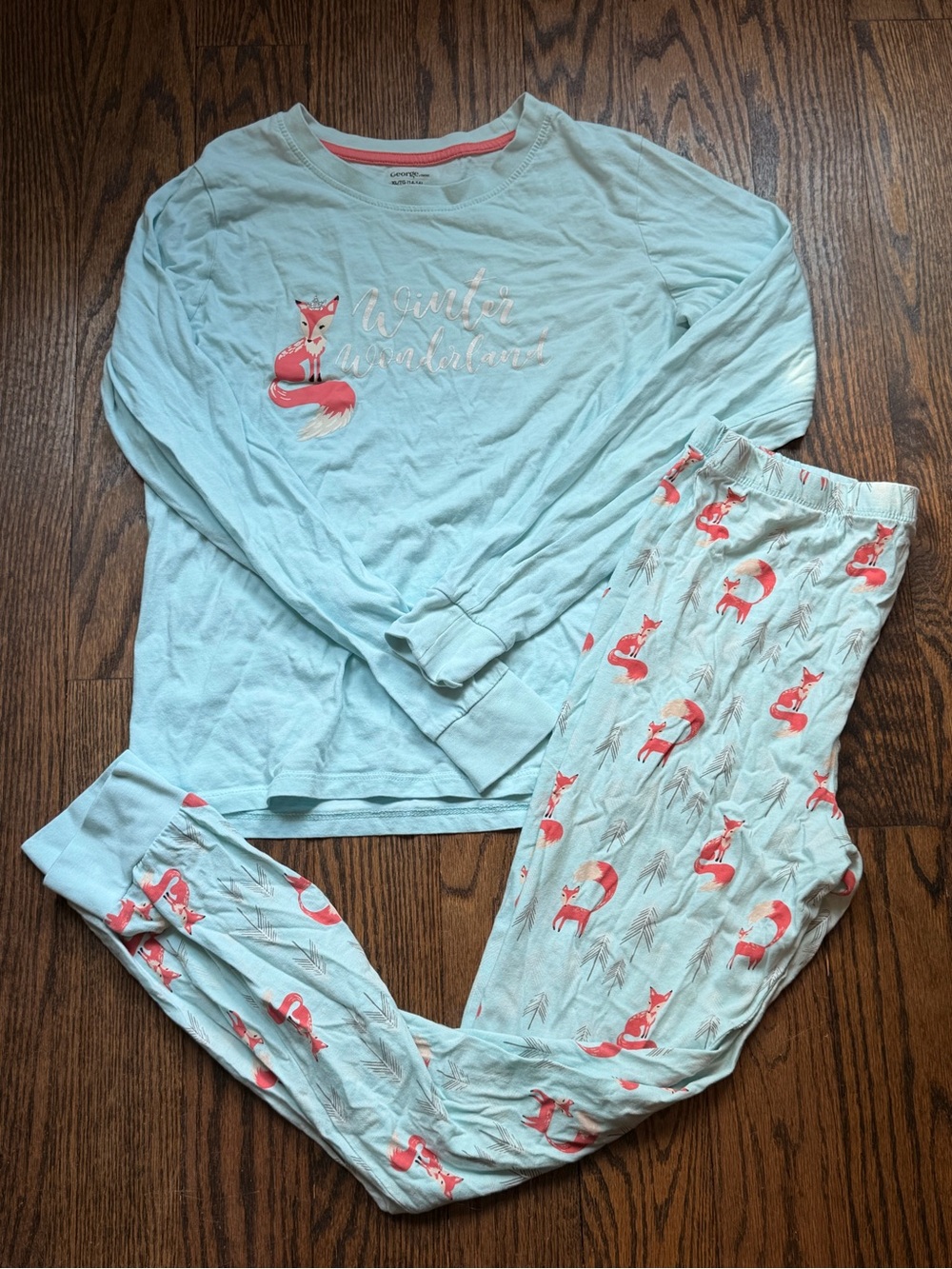 George Light Blue Pajama Set with Pink Foxes
